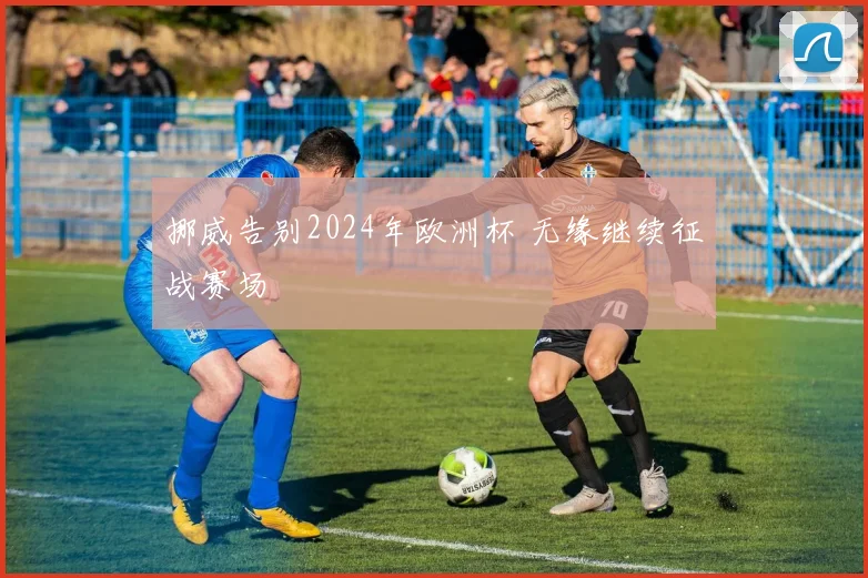 挪威告别2024年欧洲杯 无缘继续征战赛场