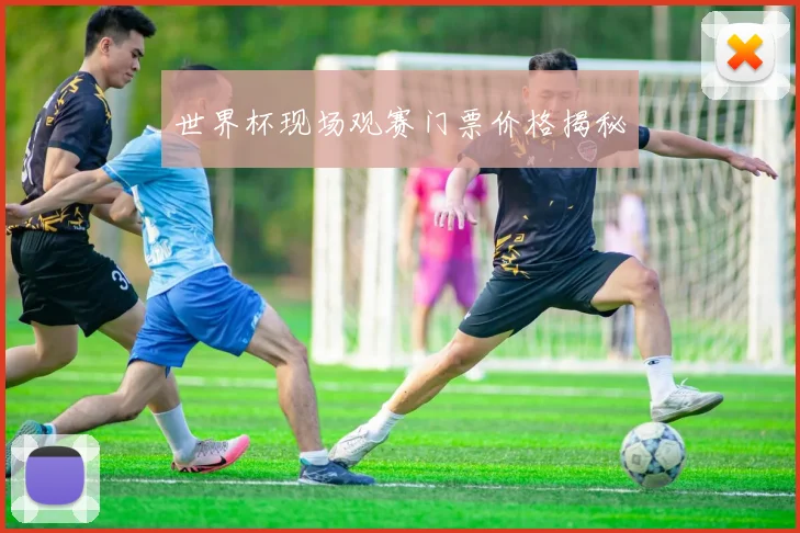 世界杯现场观赛门票价格揭秘