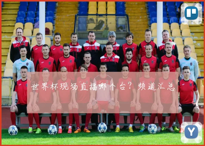 世界杯现场直播哪个台?频道汇总
