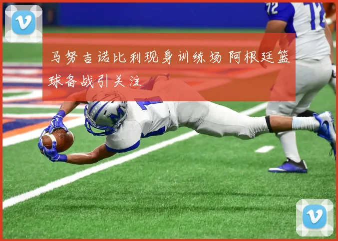 马努吉诺比利现身训练场 阿根廷篮球备战引关注